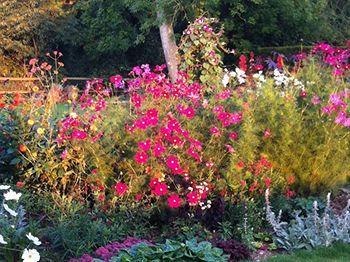Gunville House B&B Grateley Exteriör bild